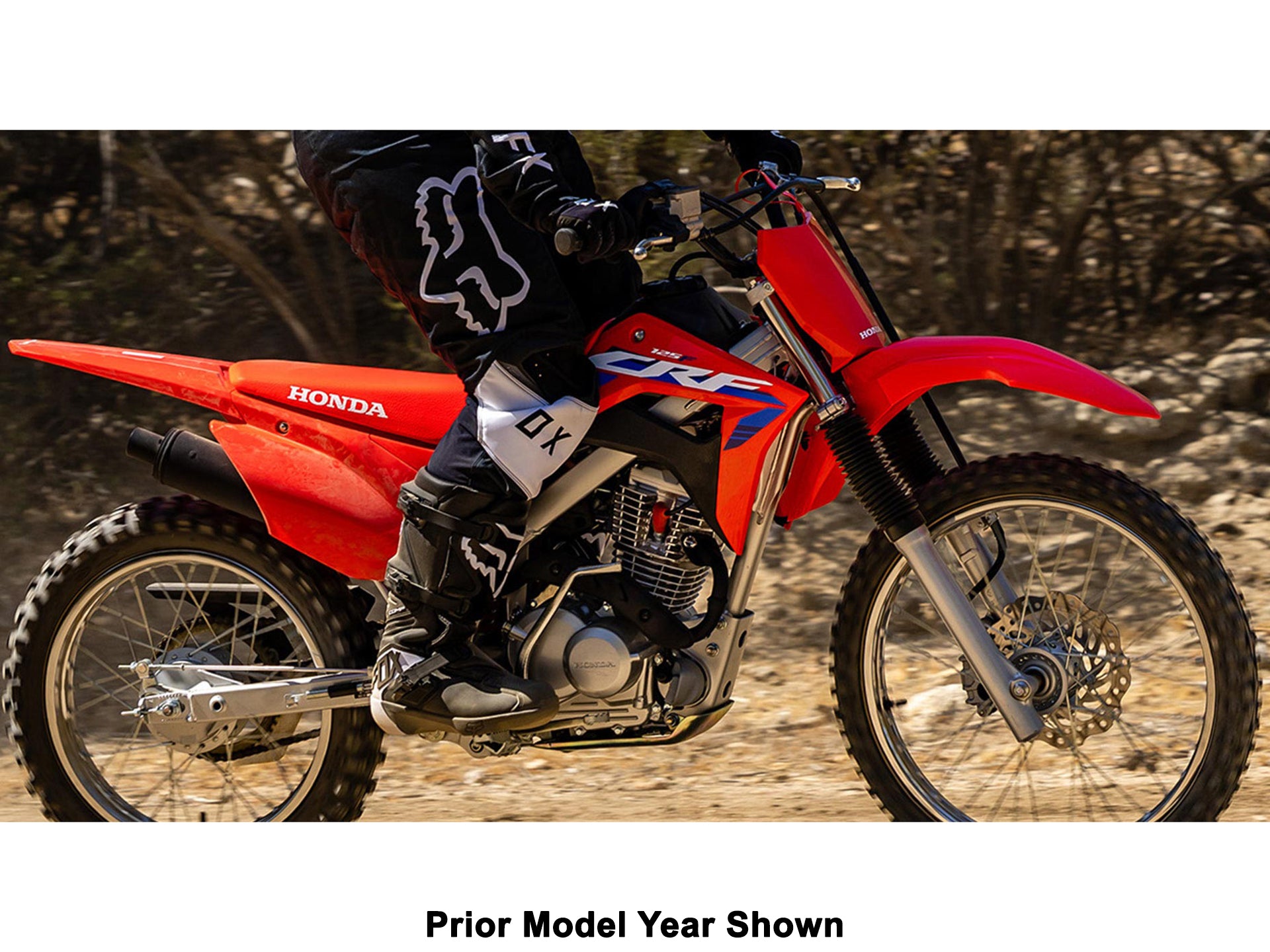 Lej en Pitbike Honda CRF125F Big Wheel 2026